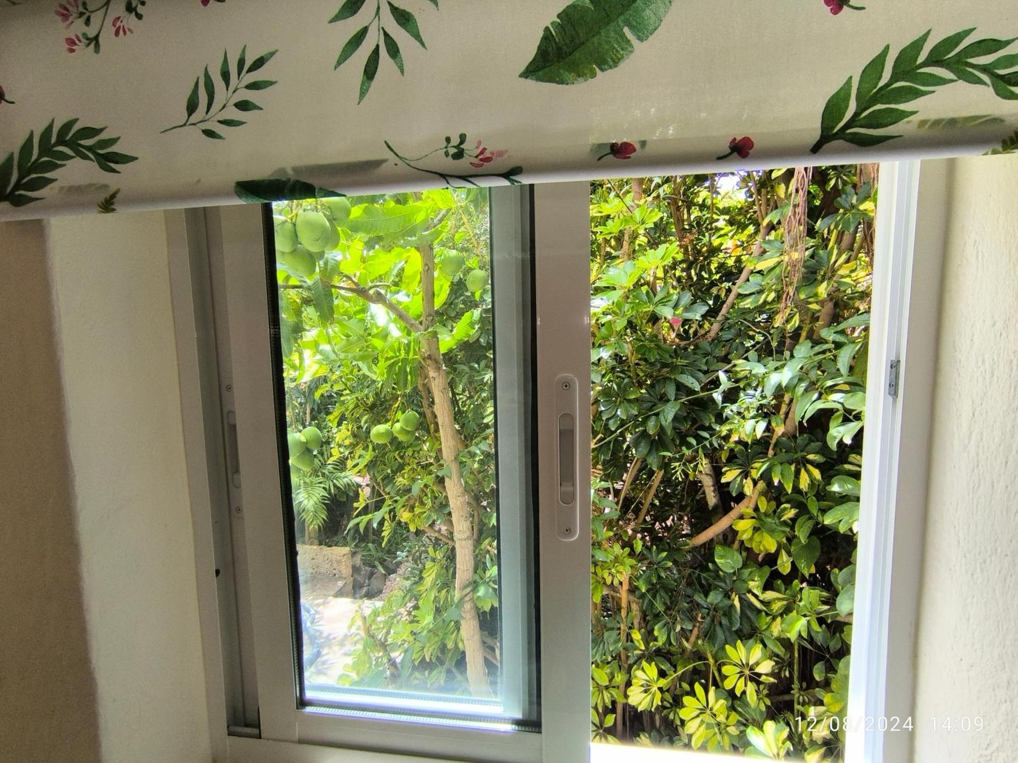 Casa Flora Loft Studio El El Sauzal Eksteriør bilde